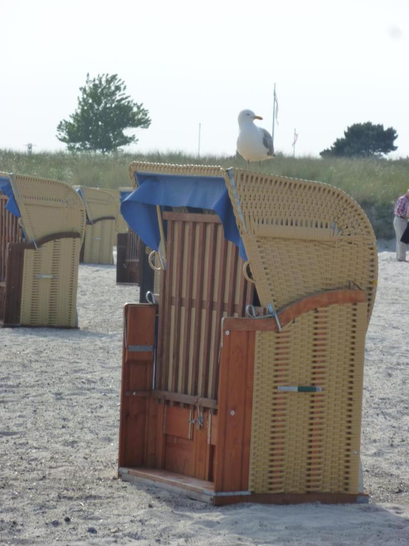 Traumhafter Ostsee-Ausblick, Fewo Direkt Am Strand Φέμαρν Εξωτερικό φωτογραφία